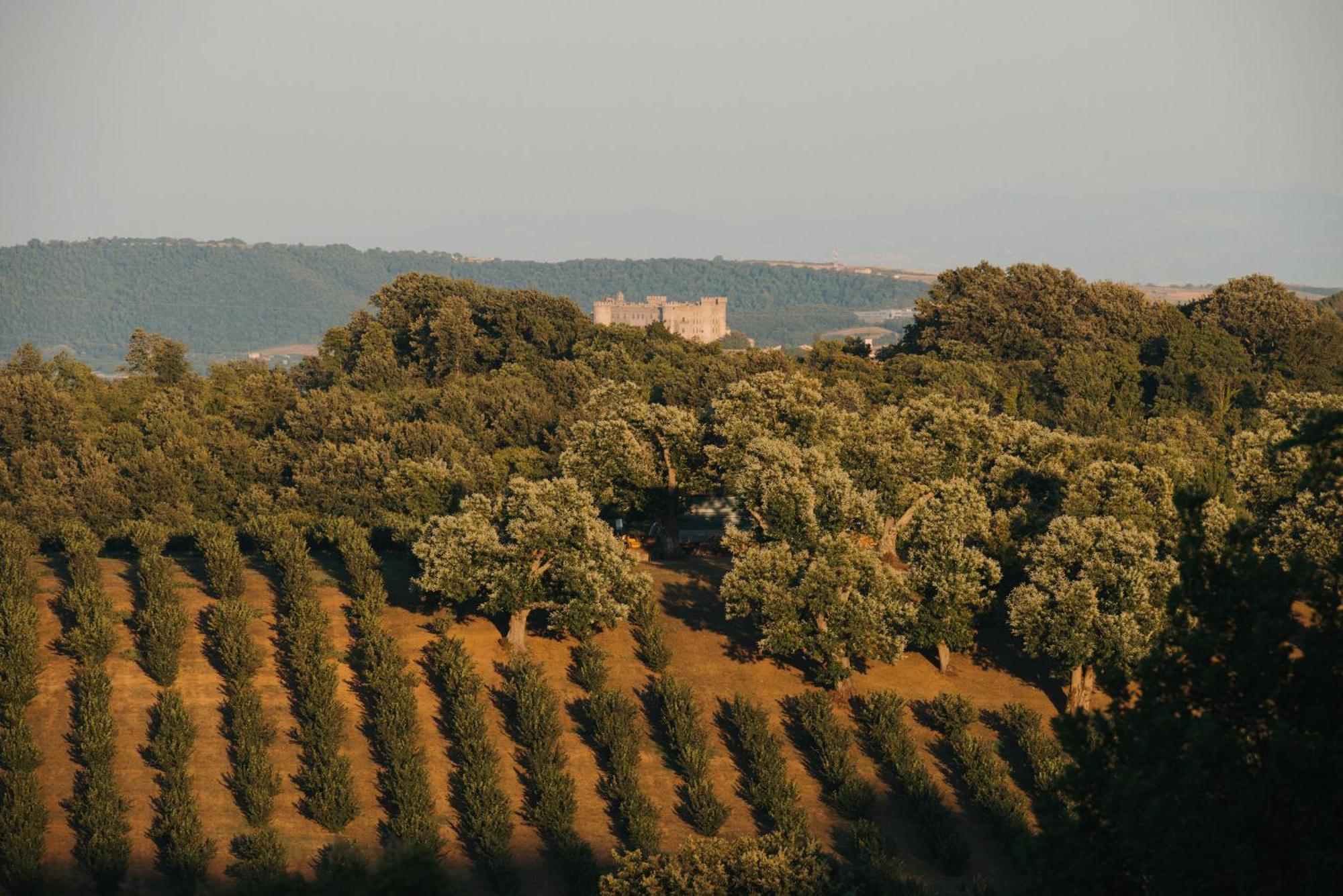 Villa Clodia Relais Manziana Zewnętrze zdjęcie